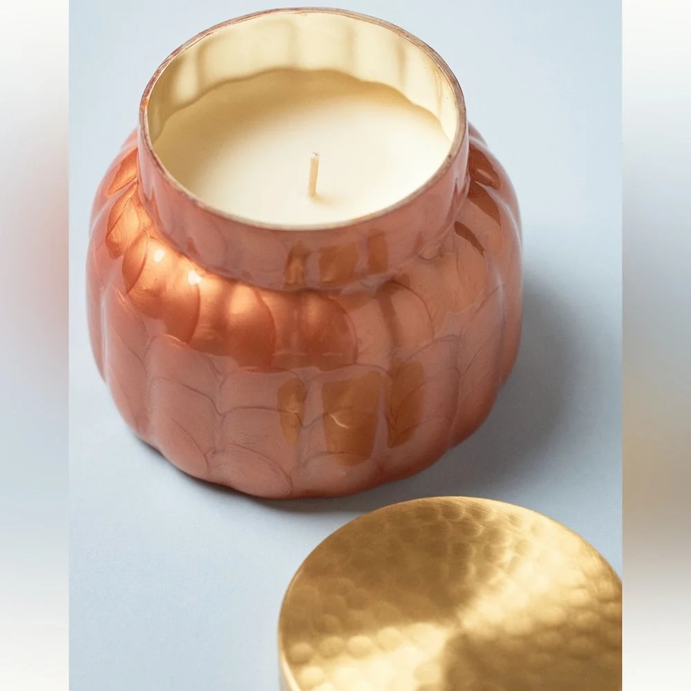 NEW NWT Anthropologie Capri Pumpkin Clove candle 19 oz